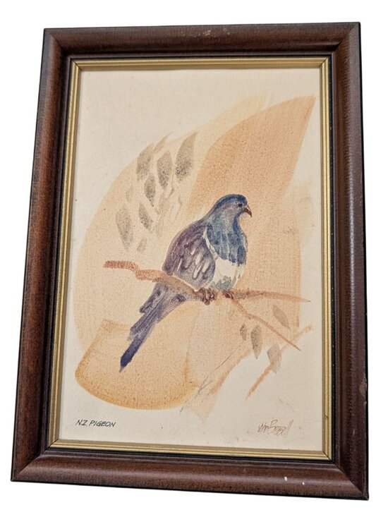 John Russell Other - Vintage Framed NZ Pigeon Art John Russell 8.5"x6" Wood Frame bird Rustic Quirky